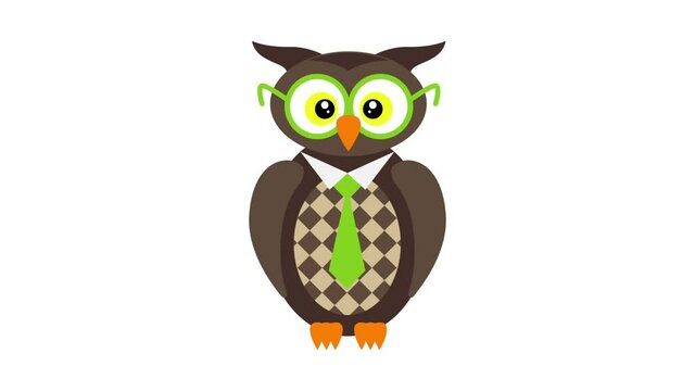Funny cartoon owl getting dressed hd animation.
