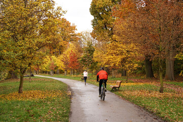 Sport as jogging and cycling in colourful park during autumn concept