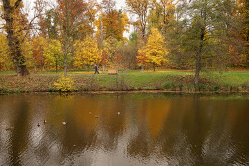 Autumn colours mirroring in lake in park Stromovka, Prague, Czech Republic