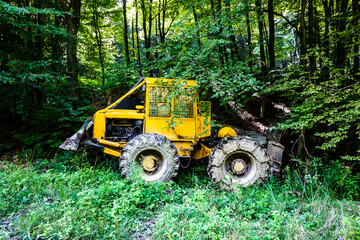 Forest tractor for logging after sawing trees, heavy forestry equipment
