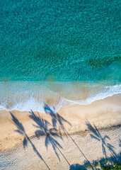 aerial photo of beach with palm shadows