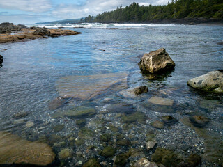 Low tide at Botanical Beach, BC, Canada