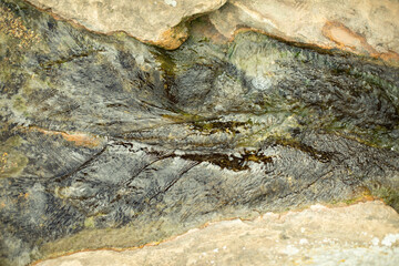 Beautiful stone in the park. A large piece of rock on the street. The cobblestones are prepared for installation in the garden.
