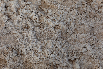 Texture of salt and sand for background