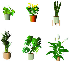 Set of colorful potted plants. Collection of plants for the home. Contains branches of vegetation, foliage and leaves. Vector illustrations of potted plants highlighted on white background. botanical 