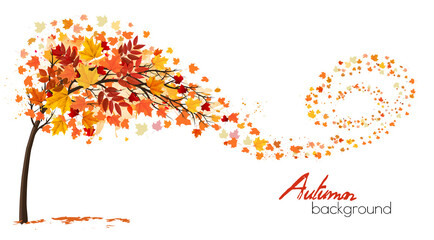 Autumn absctact background with a tree and a colorful leaves. Vector. - obrazy, fototapety, plakaty