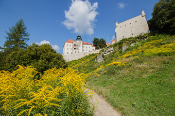 Fototapeta na wymiar Castle on Pieskowa Rock in Ojcow city - National Park