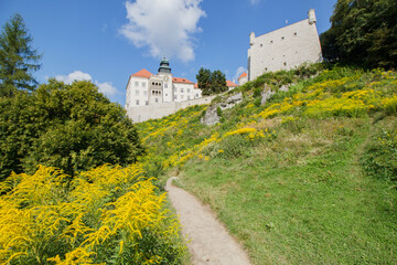 Castle on Pieskowa Rock in Ojcow city - National Park	
