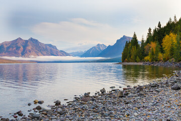 Fall foliage at Glacier National Park, Montana, USA