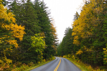 Obraz premium Fall foliage on the Going-to-the-Sun road, Glacier National Park, Montana 