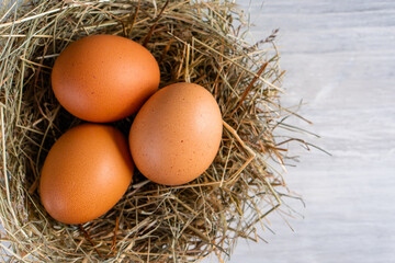 Closeup raw white brown organic fresh eggs shell with yolk from happy chicken hen free range farm on nature hatch grass straw nest healthy protein food symbol of spring season birth easter festival