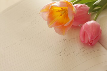 elegant pink turnips and written note with pencil for study image