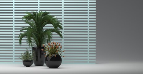 3D rendering, Plant in a vase and color slats background