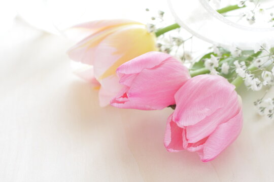 Beautiful turnip in pink color with ribbon for background image