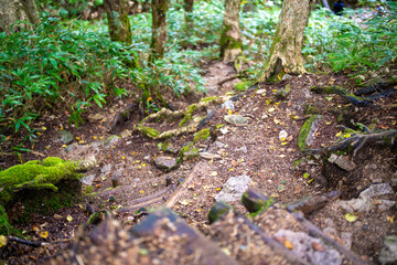 長野県安曇野市にある燕岳を登山する風景 A view of climbing Mt. Tsubame in Azumino City, Nagano Prefecture. 