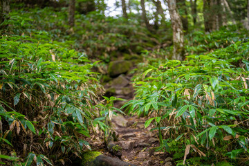 長野県安曇野市にある燕岳を登山する風景 A view of climbing Mt. Tsubame in Azumino City, Nagano Prefecture. 