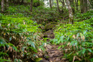 長野県安曇野市にある燕岳を登山する風景 A view of climbing Mt. Tsubame in Azumino City, Nagano Prefecture. 