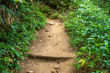 Obraz premium 長野県安曇野市にある燕岳を登山する風景 A view of climbing Mt. Tsubame in Azumino City, Nagano Prefecture. 