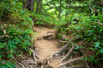 Fototapeta premium 長野県安曇野市にある燕岳を登山する風景 A view of climbing Mt. Tsubame in Azumino City, Nagano Prefecture. 