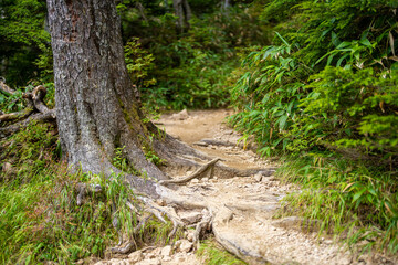 長野県安曇野市にある燕岳を登山する風景 A view of climbing Mt. Tsubame in Azumino City, Nagano Prefecture. 
