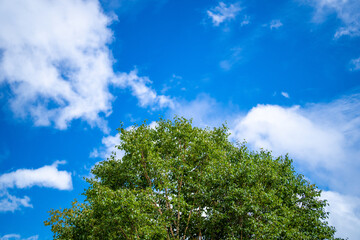 長野県安曇野市にある燕岳を登山する風景 A view of climbing Mt. Tsubame in Azumino City, Nagano Prefecture. 