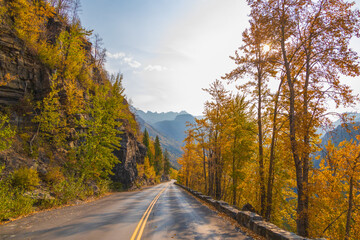 Fototapeta premium Fall foliage on the Going-to-the-Sun road, Glacier National Park, Montana 