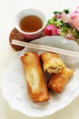 Chinese food, spring roll deep fried dim sum 
