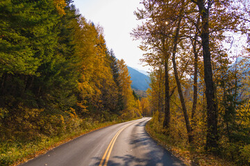 Fall foliage at Glacier National Park, Montana, USA