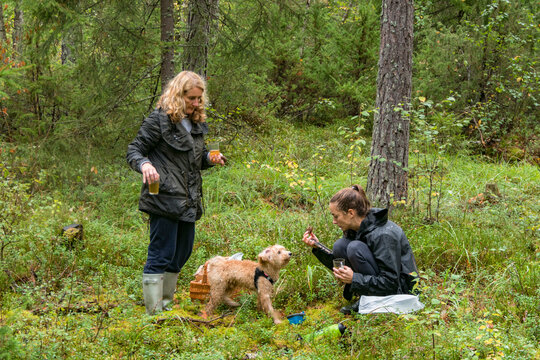 Stockholm, Sweden  A  mother and daughter enjoy a tea rest in the woods after picking mushrroms with a bichpoo dog.