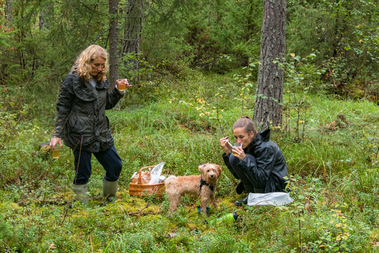 Stockholm, Sweden  A  mother and daughter enjoy a tea rest in the woods after picking mushrroms with a bichpoo dog.