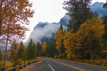 Fall foliage at Glacier National Park, Montana, USA