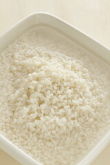 soaked sticky rice for Chinese cooking ingredient image