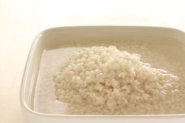 soaked sticky rice for Chinese cooking ingredient image