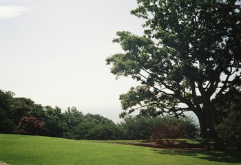 公園
