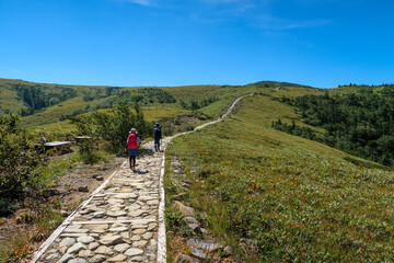 Obraz premium 日本の百名山の薬師岳の登山道
