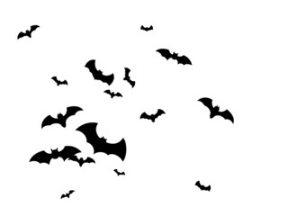 Flock bat isolated. Many flying bats on white.