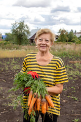 happy elderly woman farmer holding carrots and beets in her hands