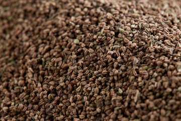 close up on a pile of dried Celery Seed