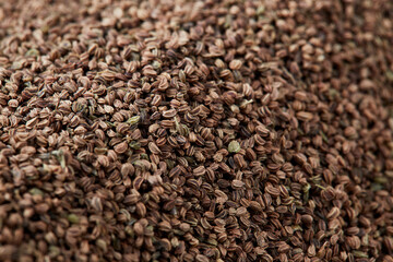 close up on a pile of dried Celery Seed