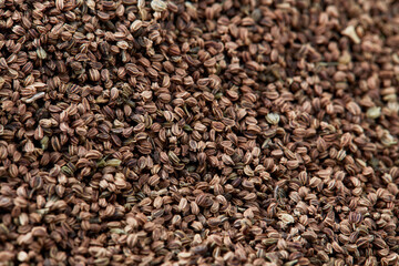 close up on a pile of dried Celery Seed