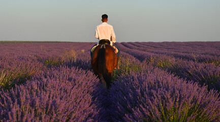 un bonito campo de lavanda en españa