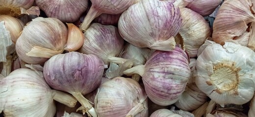 garlic in market