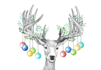 Christmas deer, hanging Christmas ornaments on antlers, funny cute animal sketch on white background, holiday card or party invite, hand drawn illustration of decorated leaves on deer head and antlers