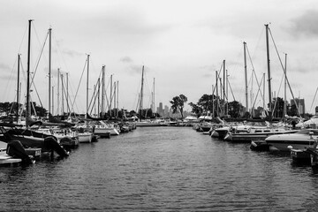 boats in marina