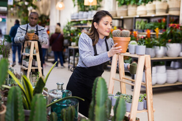 Positive woman holding a potteds with cactuses in flower shop