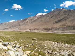 Leh ladakh beautiful landscape of himalayas mountain and clear sky