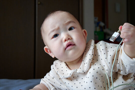 これはなんだ？