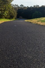 Path way street in the middle of trees. Walk and run. Cycling and talk.