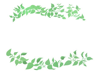 淡いグリーンのフレーム