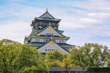 Fototapeta premium 大阪城